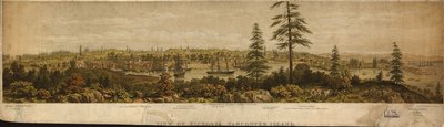 LC Panoramic Maps (2nd ed.), 1075 Available Also Through the Library of Congress Web Site as a Raster Image. Shows Points of Interest. AACR2 by H. O.; Picken Tiedemann
